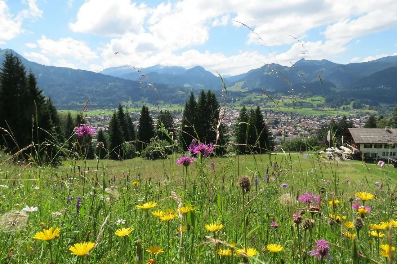 Apartment Ferienwohnungen Alpentraum - Alpengruen Oberstdorf
